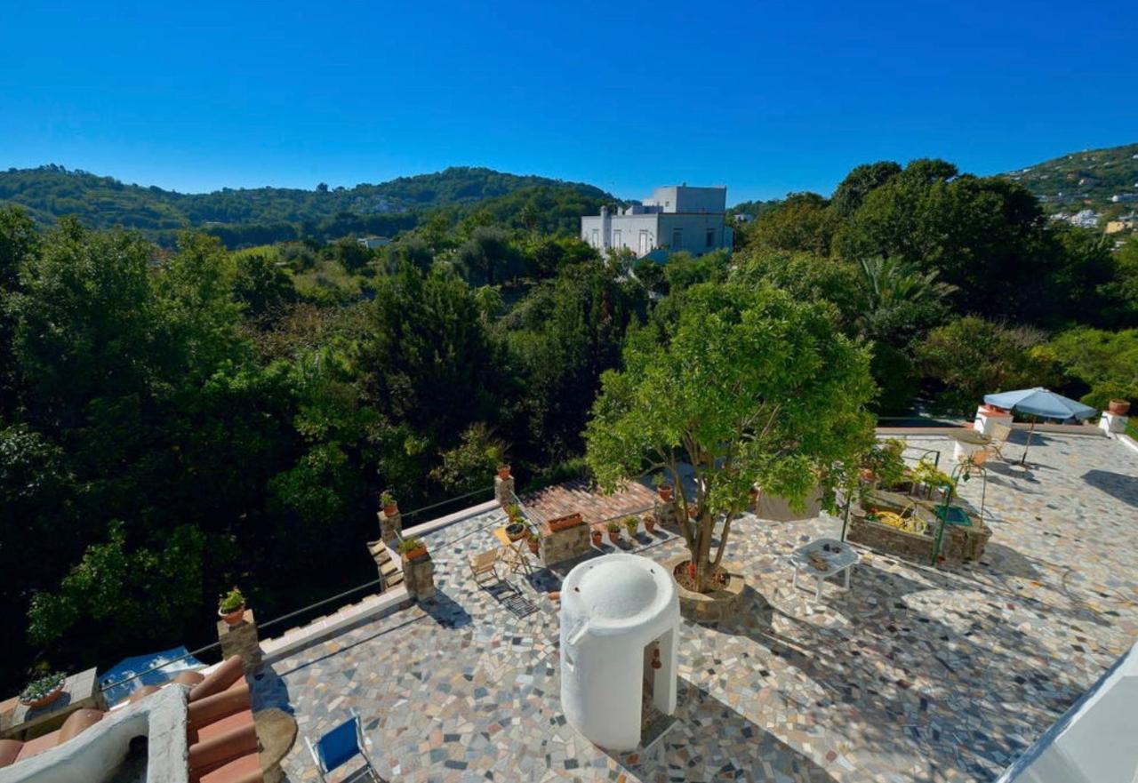 Villa Vincenzo Di Meglio Barano dʼIschia Exterior foto