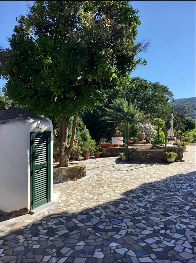 Villa Vincenzo Di Meglio Barano dʼIschia Exterior foto