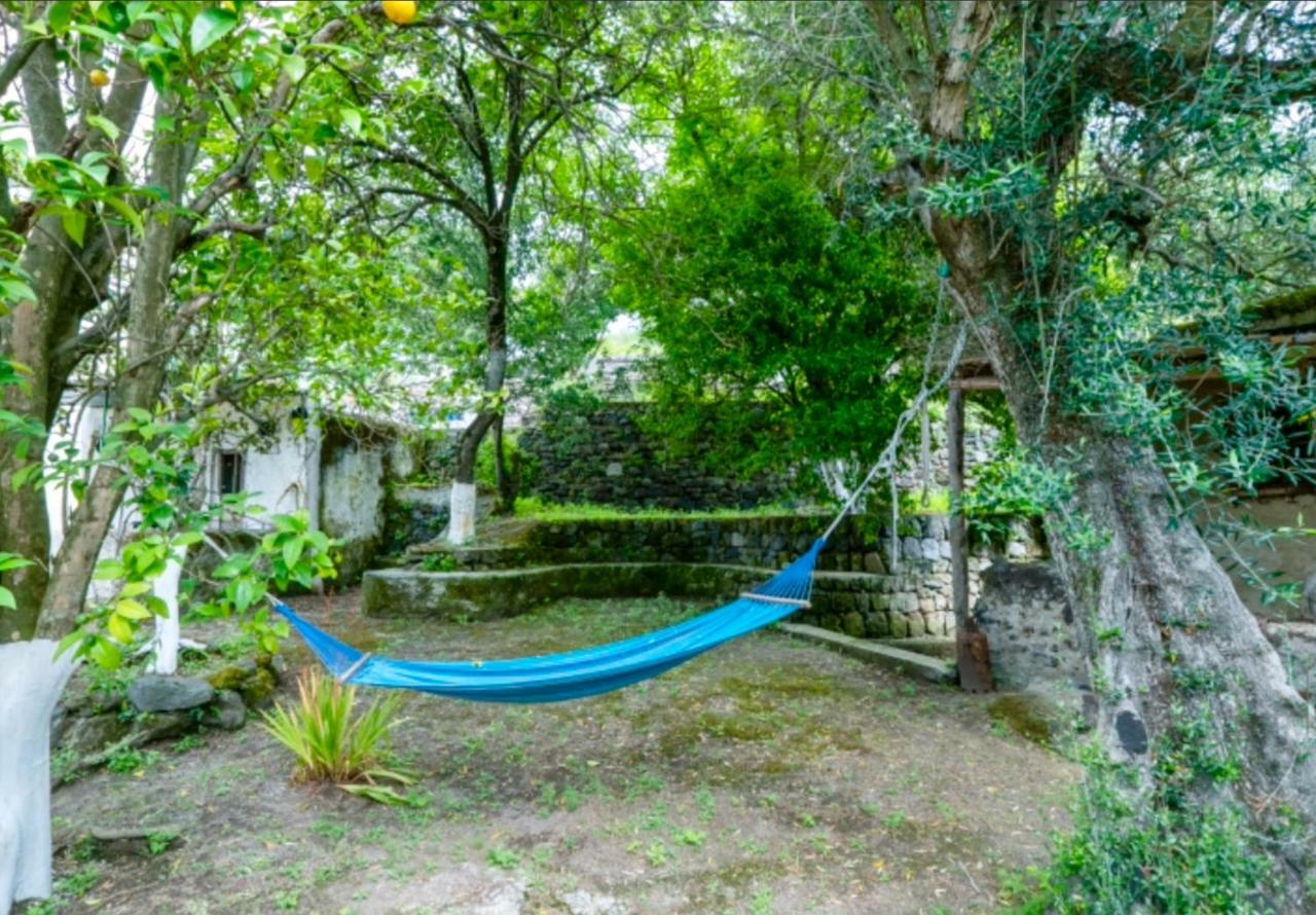 Villa Vincenzo Di Meglio Barano dʼIschia Exterior foto